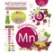 Manganese. Food sources. Infographics of Manganese content in natural organic food products