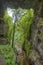 Mangapohue Natural Bridge at New Zealand