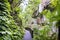 Mangapohue Natural Bridge walk in Waitomo in summer