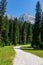 Mangart - Panoramic hiking trail in idyllic forest looking at massive mountain ridges of Julian Alps in summer