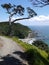 Mangawhai cliff walk: rocky coast view
