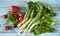 Mangel,chard,common beet,Beta vulgaris and organic vegetables,