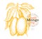 Mango branch illustration. Hand drawn vector tropic fruit illustration. Engraved style fruit. Vintage exotic food illustration