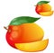 Mango. Cartoon vector icon isolated on white