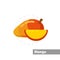 Mango clipart. mango isolated flat icon