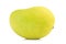 mango color Chartreuse. green and yellow. name yaikrom. asian. t