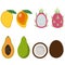 Mango, dragon fruit, pitaya, papaya and coconut whole and cut tropical exotic sweet fruit pink green orange brown white summer