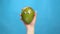 Mango with eyes in a woman hand close-up. Mango shakes and twists eyes on a blue background. Slow motion.