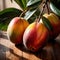 Mango fresh raw organic fruit