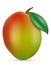 Mango fresh ripe exotic fruit vector illustration