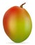 Mango fresh ripe exotic fruit vector illustration