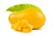 Mango fruit with cubes shape and green leaf isolated