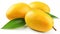Mango fruit isolated on white generated by AI tool.