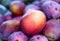 Mango fruit pile in a local market. Tropical fruits pile. Some mangos. Mangoes