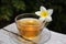 Mango jasmine (Plumeria rubra) tea, also known as Frangipani, in a clear glass cup with a natural flower,