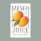 Mango juice label. Healthy fruit beverage. Two yellow-orange fruits with leaves on a white label with uneven edge.