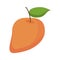 Mango juicy fruit icon