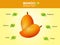 Mango nutrition facts, mango fruit with information, mango vector