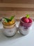 Mango and Rasberry chia Pudding
