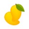 Mango ripe fruit simple isolated on white background, yellow mango cartoon for clip art, illustration mango for icon