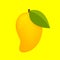 Mango ripe fruit simple isolated on yellow background, yellow mango cartoon for clip art, illustration mango for icon