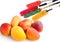 Mango ripe fruits and brushes painting the stripes of matching colors which are the colors