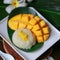 Mango Sticky Rice