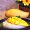 Mango Sticky Rice