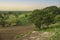 A mango tree and tilled farmland at Tagaytay, Cavite, Philippines. Undeveloped rural countryside in the highland city