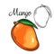 Mango vector drawing icon