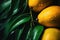 Mango with water drops and leaves