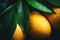 Mango with water drops and leaves