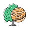 mango wood color icon vector illustration