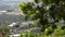 Mangoes fruit hanging at branch of tree with landscape of houses and plantations at background