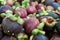 Mangosteen fruit at the pile together for sale.