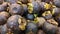 Mangosteen fruit is very good for the body, because it contains many vitamins