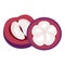 Mangosteen icon cartoon vector. Garcinia fruit