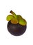 Mangosteen isolate on white background