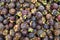 mangosteen, mangosteen background, mangosteen for sale, mangosteen fruit, mangosteen in the market