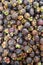 mangosteen, mangosteen background, mangosteen for sale, mangosteen fruit, mangosteen in the market