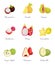 Mangosteen and Papaya Ambarella Fruit Set Vector