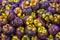 Mangosteen. A pile of mangosteen selling in a market, mangosteen background.