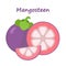 Mangosteen set. Whole purple fruit, slices. Tropic exotic ripe fruit