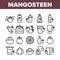 Mangosteen Sweet Fruit Collection Icons Set Vector