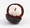 Mangosteen Thai tropical fruit