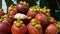 Mangosteens Bunch of fruits, one halved with pulp visible.