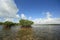 Mangoves and Turtle Grass flats in Biscayne National Park, Florida.