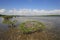 Mangoves and Turtle Grass flats in Biscayne National Park, Florida.