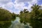 Mangroove river in everglades Florida