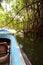 Mangroovy boat riding. Madu ganga wetlands. Balapitiya. Sri Lanka